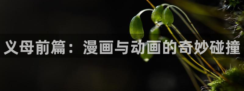 樱花风车动漫专注动漫的门户网站：义母前篇：漫画与动画的奇妙碰撞